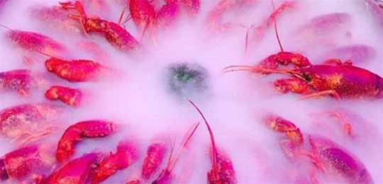 如何選擇山西高純氣體管道配管及附件材料？